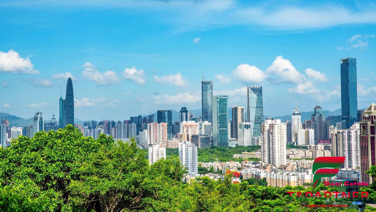 Phân Tích Chuyên Sâu Các Phân Khúc Bất Động Sản: Vốn Ít Nên Chọn Đất Nền Hay Chung Cư?